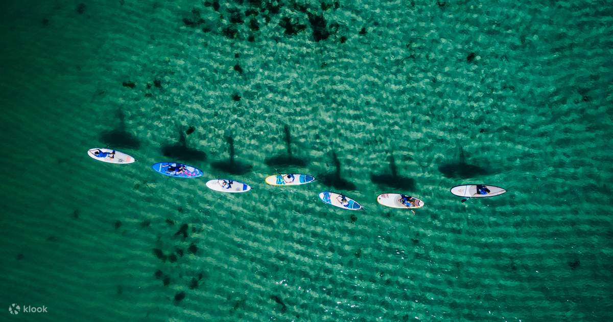 Stand Up Paddle Boarding (SUP) Experience in Margaret River Klook Singapore